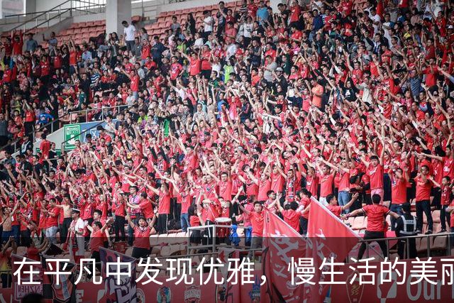 在平凡中发现优雅，慢生活的美丽瞬间