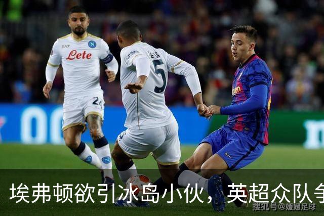 埃弗顿欲引冰岛小伙，英超众队争抢如抢白菜